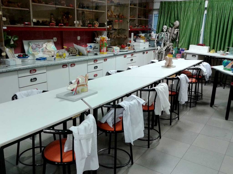 Lab
