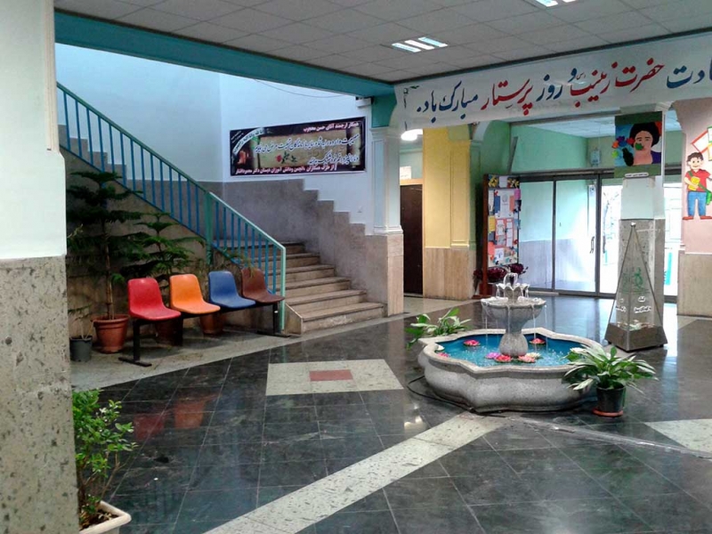 دبستان دکتر محمود افشار