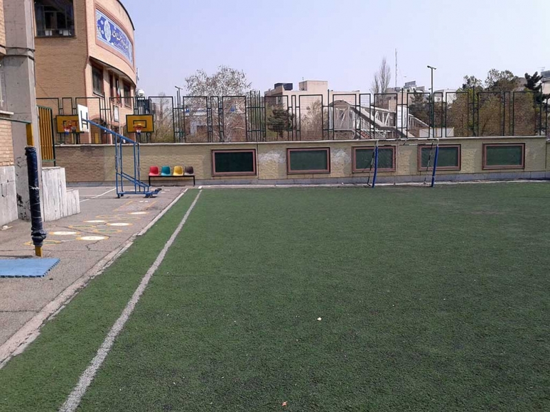 yard7